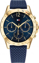 Tommy Hilfiger naisten rannekello 1782198 hinta ja tiedot | Tommy Hilfiger Naisten asusteet | hobbyhall.fi