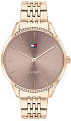 .Tommy Hilfiger Harmaa TH1782212 hinta ja tiedot | Naisten kellot | hobbyhall.fi