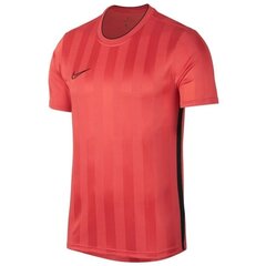 Miesten T-paita Nike hinta ja tiedot | Naisten T-paidat | hobbyhall.fi