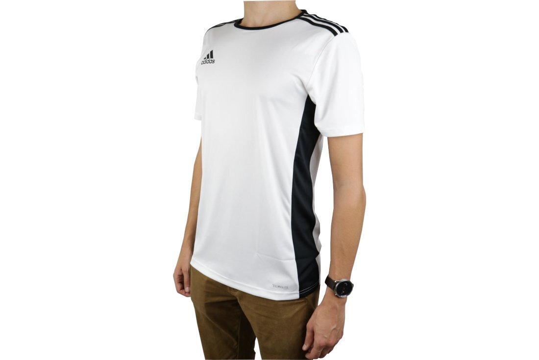 Miesten T-paita Adidas Entrada 18 CD8438, valkoinen. hinta ja tiedot | Miesten urheiluvaatteet | hobbyhall.fi