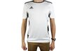 Miesten T-paita Adidas Entrada 18 CD8438, valkoinen. hinta ja tiedot | Miesten urheiluvaatteet | hobbyhall.fi