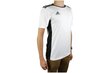 Miesten T-paita Adidas Entrada 18 CD8438, valkoinen. hinta ja tiedot | Miesten urheiluvaatteet | hobbyhall.fi