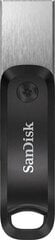 SANDISK SDIX60N-128G-GN6NE Sandisk USB i muistitikku hinta ja tiedot | Sandisk Tietokoneet ja pelaaminen | hobbyhall.fi