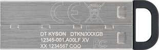 KINGSTON 32GB USB3.2 DT Gen1 Kyson muistitikku hinta ja tiedot | Muistitikut | hobbyhall.fi