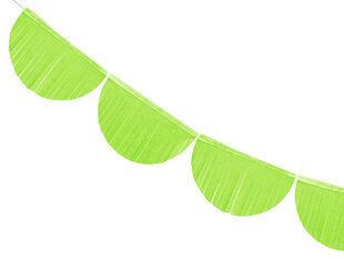 Juhlakoriste Fringe Green Apple 20 cm x 3 m (1 laatikko / 50 kpl) hinta ja tiedot | Juhlakoristeet | hobbyhall.fi