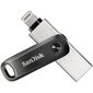 3.2 USB muistitikku SanDisk SDIX60N-256G-GN6NE: 256GB hinta ja tiedot | Muistitikut | hobbyhall.fi