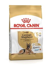 Royal Canin vanhempi saksanpaimenkoira Saksanpaimenkoira Aikuinen +5, 12kg. hinta ja tiedot | Koiran kuivaruoka | hobbyhall.fi
