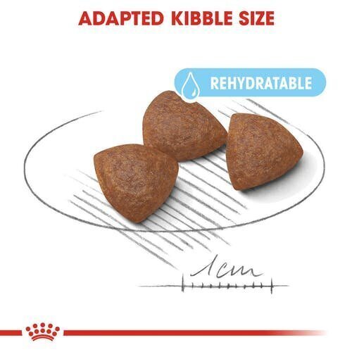 ROYAL CANIN naiset ja niiden pennut Medium starter, 4 kg hinta ja tiedot | Koiran kuivaruoka | hobbyhall.fi