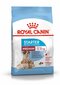 ROYAL CANIN naiset ja niiden pennut Medium starter, 4 kg hinta ja tiedot | Koiran kuivaruoka | hobbyhall.fi