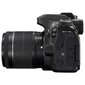 SLR-kamera Canon EOS 80D EF-S 18-55mm IS STM hinta ja tiedot | Kamerat | hobbyhall.fi