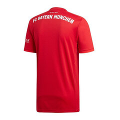 Miesten T-paita Adidas FC Bayern Home Jsy DW7410, punainen hinta ja tiedot | Miesten T-paidat | hobbyhall.fi