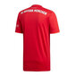 Miesten T-paita Adidas FC Bayern Home Jsy DW7410, punainen hinta ja tiedot | Miesten T-paidat | hobbyhall.fi