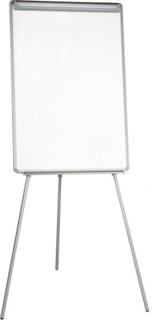 Magneettitaulu Bi-Office, 70x102 cm hinta ja tiedot | Toimistotarvikkeet | hobbyhall.fi