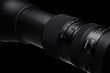 Tamron SP 150-600mm f/5.0-6.3 DI VC USD G2 hinta ja tiedot | Objektiivit | hobbyhall.fi