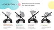 Yhdistelmävaunut Kinderkaft Everyday Bird 2in1, harmaa hinta ja tiedot | Vaunut ja rattaat | hobbyhall.fi