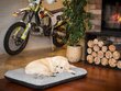 Hobbydog peti lemmikkieläimille Eco Prestige Light Grey Ekolen, R2, 100x70 cm hinta ja tiedot | Pedit ja pesät | hobbyhall.fi