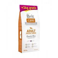 Brit Care Adult keskikokoisille koiraroduille karitsan ja riisin kanssa, 12 kg +2 kg hinta ja tiedot | Koiran kuivaruoka | hobbyhall.fi