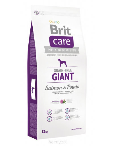 Brit Care Adult kuivaruoka suurille koiraroduille lohella ja perunalla, ilman viljaa, 12 kg hinta ja tiedot | Koiran kuivaruoka | hobbyhall.fi