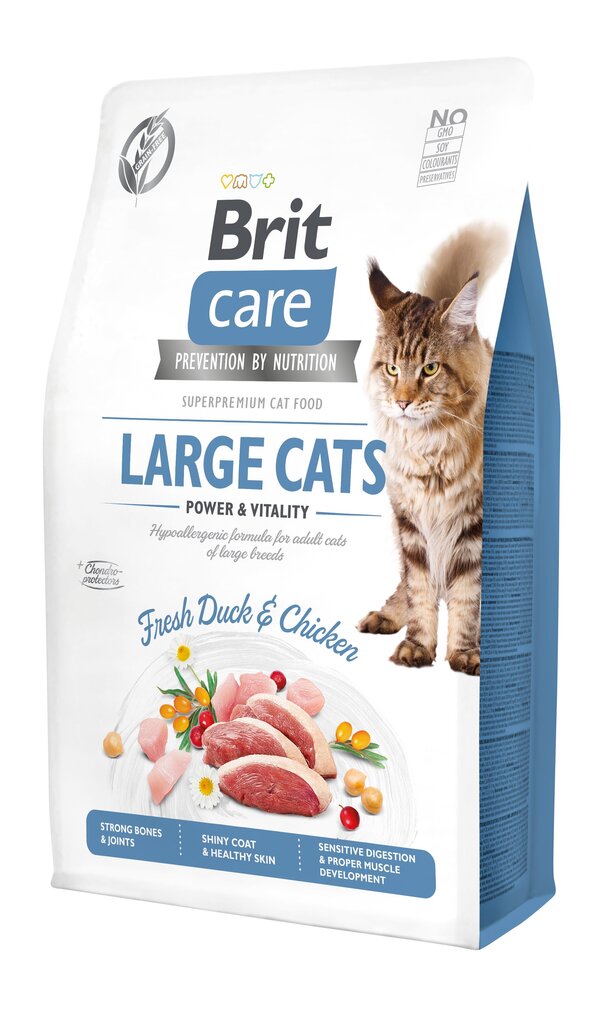 Brit Care Cat Grain-Free Large Cats Power Vitality täysravinto kissoille 2kg hinta ja tiedot | Kissan kuivaruoka | hobbyhall.fi