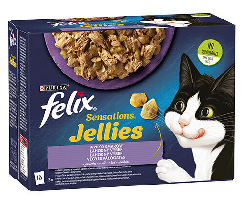 Felix Sensations Jellies -kissanruoka, eri makuja, 12 x 85 g hinta ja tiedot | Kissanruoka | hobbyhall.fi