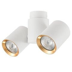 Light Prestige Boston 2 White/Gold kattovalaisin hinta ja tiedot | Kattovalaisimet | hobbyhall.fi