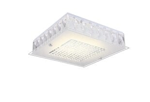 Kattovalaisin Light Prestige Forte LED hinta ja tiedot | Kattovalaisimet | hobbyhall.fi