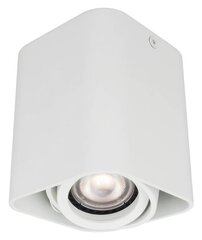 Kattovalaisin Light Prestige Merano 1 hinta ja tiedot | Kattovalaisimet | hobbyhall.fi