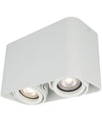 Kattovalaisin Light Prestige Merano 2 hinta ja tiedot | Kattovalaisimet | hobbyhall.fi