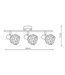 Seinävalaisin Light Prestige Reus hinta ja tiedot | Kattovalaisimet | hobbyhall.fi