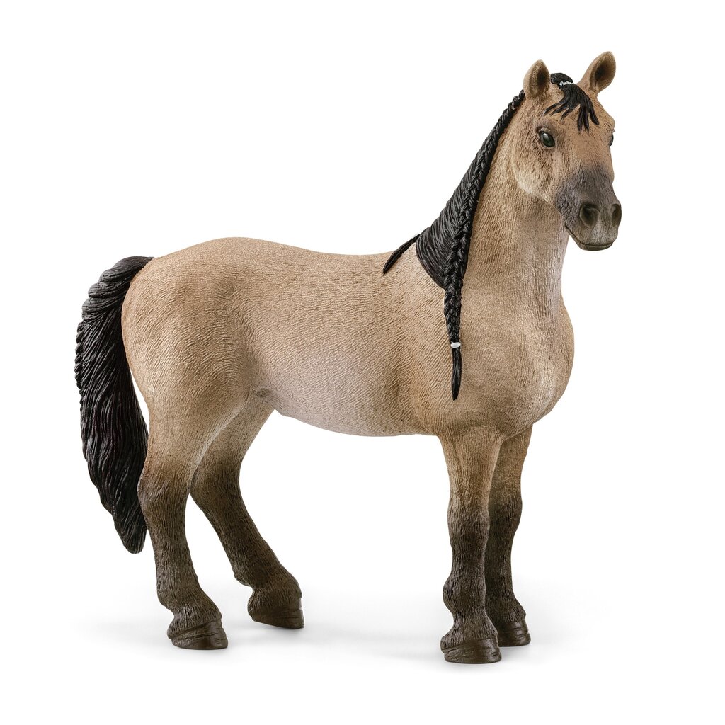 Schleich Horse Club Criollo Definitivo tamma hinta ja tiedot | Tyttöjen lelut | hobbyhall.fi