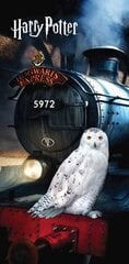 Harry Potter Hedvig -pyyhe, 70 x 140 cm kaina ir informacija | Pyyhkeet | hobbyhall.fi