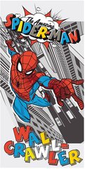 Spiderman Pop -pyyhe, 70 x 140 cm hinta ja tiedot | Jerry Fabrics Koti ja keittiö | hobbyhall.fi