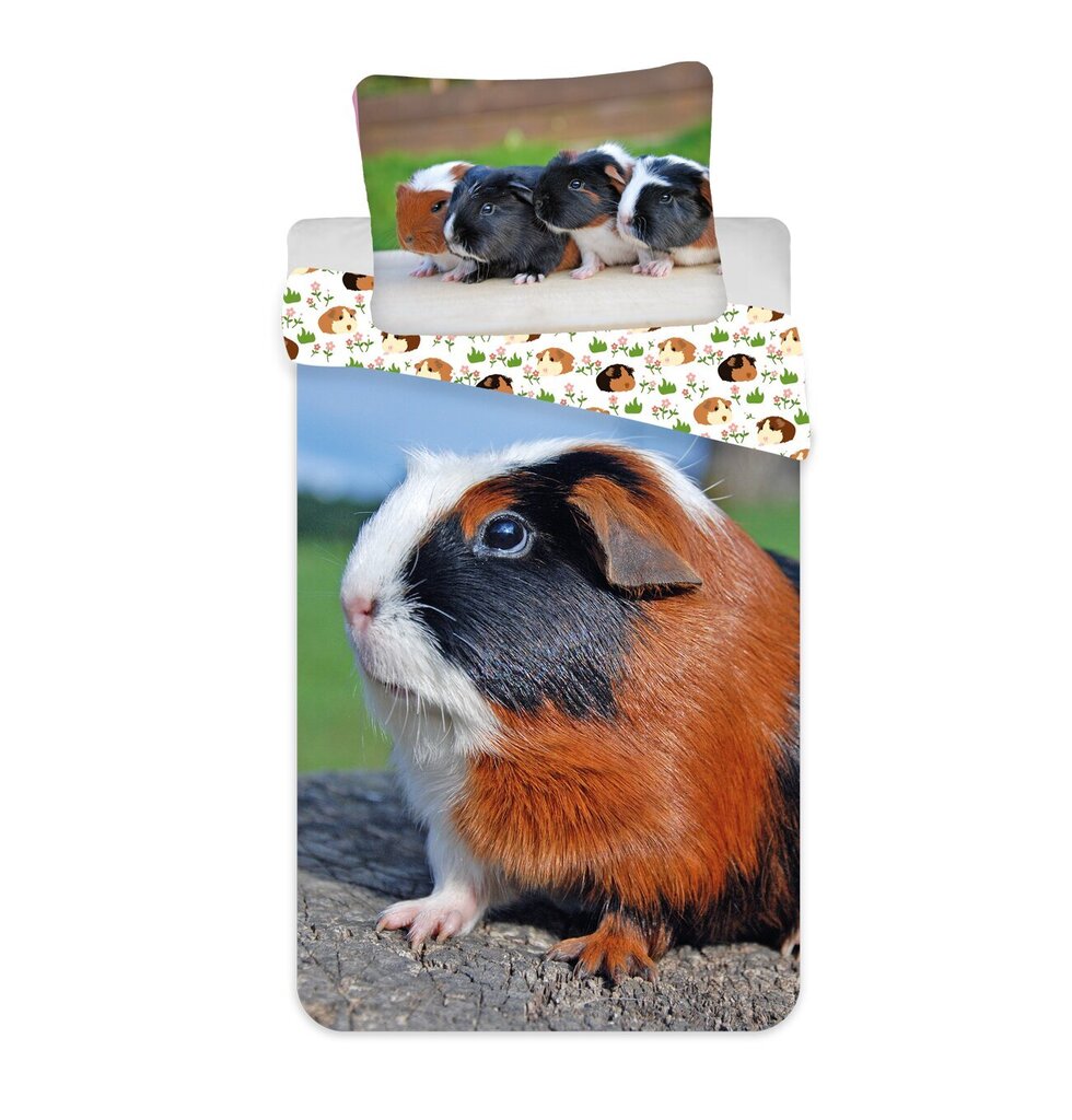 Guinea Pig -pussilakanasetti, 140 x 200 cm + tyynyliina 70 x 90 cm hinta ja tiedot | Vuodevaatteet lapsille | hobbyhall.fi