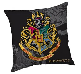 Harry Potter -koristetyyny, 40 x 40 cm hinta ja tiedot | Koristetyynyt ja tyynynpäälliset | hobbyhall.fi