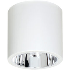 Luminex kattovailaisin Downlight round 7238 hinta ja tiedot | Kattovalaisimet | hobbyhall.fi