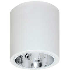 Luminex kattovailaisin Downlight round 7240 hinta ja tiedot | Kattovalaisimet | hobbyhall.fi