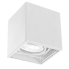 Luminex kattovalaisin Downlight square 324 hinta ja tiedot | Kattovalaisimet | hobbyhall.fi