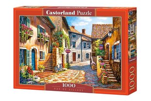 Palapeli Puzzle Castorland Rue de Village, 1000 palaa hinta ja tiedot | Castorland Lapset | hobbyhall.fi