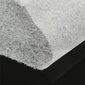 Pakkassuoja/agrokalvo Bradas Spring 1.6x5 m, 17 g/m2, valkoinen hinta ja tiedot | Puutarhatyökalut | hobbyhall.fi