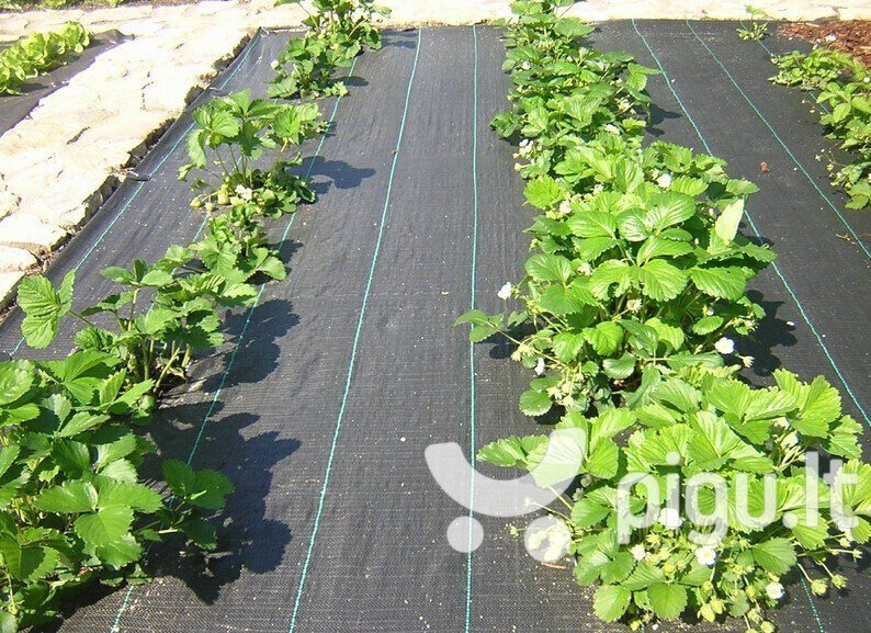 Rikkakasvien vastainen agrokalvo, 1,1x10 m, 70 g / m2, musta hinta ja tiedot | Puutarhatyökalut | hobbyhall.fi
