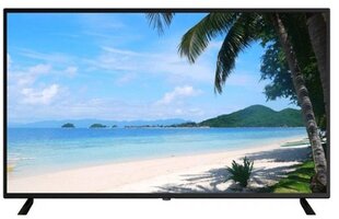 Dahua 50" 4K UHD LED näyttö DHI-LM50-F400 hinta ja tiedot | Näytöt | hobbyhall.fi