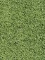 Narma Spice -nukkamatto, vihreä, 133 x 200 cm hinta ja tiedot | Isot matot | hobbyhall.fi