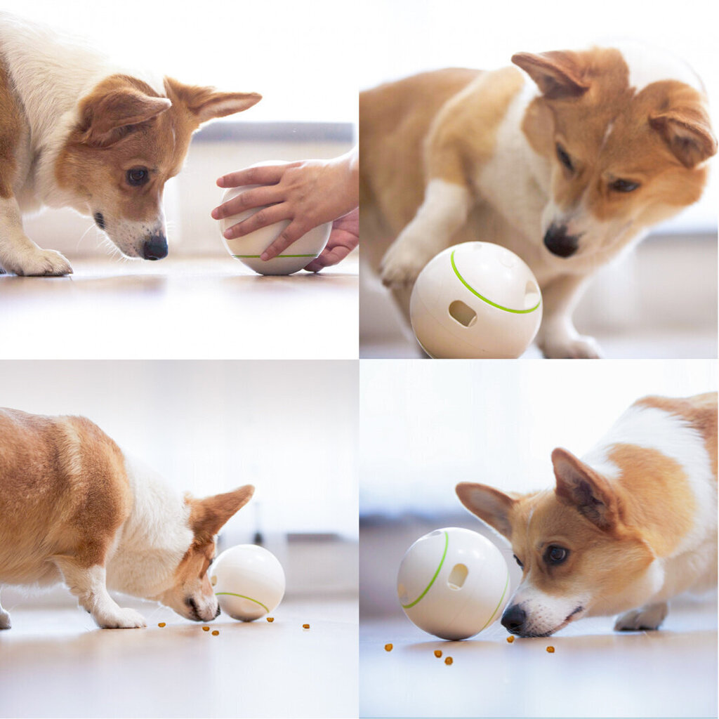 Doggy Village interaktiivinen lelupallo herkkuihin Dog Treat hinta ja tiedot | Koiran lelut | hobbyhall.fi