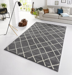 Matto Hanse Home Capri 102551, 140x200 cm hinta ja tiedot | Isot matot | hobbyhall.fi