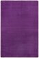 Matto Hanse Home Fancy Purple, 200x280 cm hinta ja tiedot | Isot matot | hobbyhall.fi