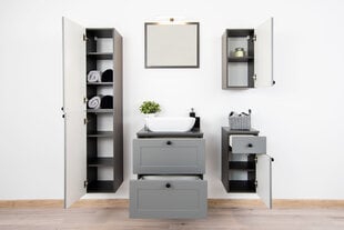 Kylpyhuonekaappi Senja W30 SL, harmaa hinta ja tiedot | Kylpyhuonekaapit | hobbyhall.fi