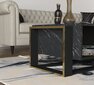 Sohvapöytä Kalune Design Bianco, musta hinta ja tiedot | Sohvapöydät | hobbyhall.fi