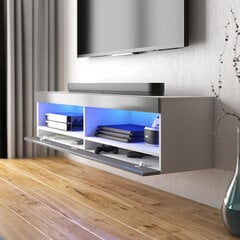 TV-pöytä Selsey Dean LED 100 cm, valkoinen/harmaa hinta ja tiedot | TV-tasot | hobbyhall.fi