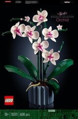 10311 LEGO® Icons Orkidea hinta ja tiedot | LEGOT ja rakennuslelut | hobbyhall.fi