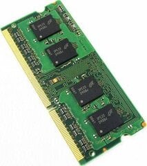 Fujitsu, S26391-F3362-L800 hinta ja tiedot | Muisti (RAM) | hobbyhall.fi